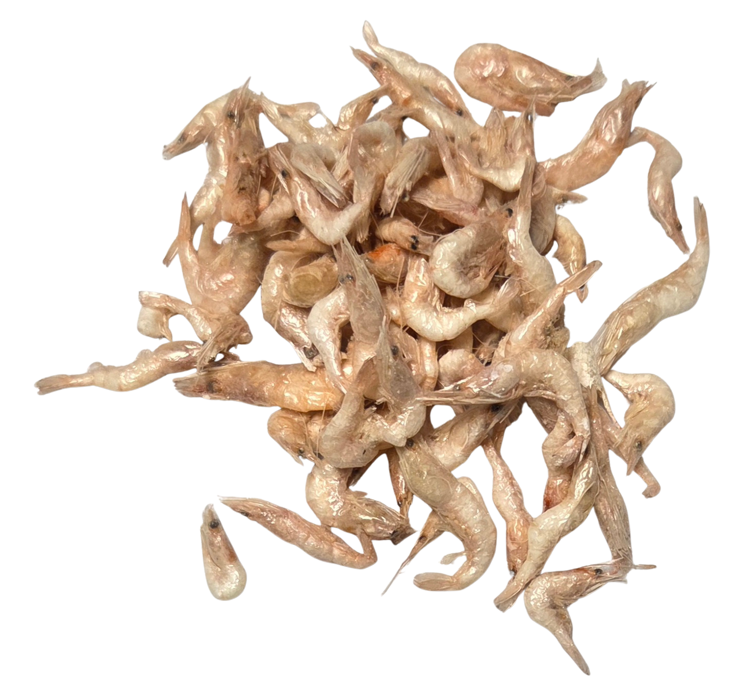 F-RAW-sted Prawn-fetti